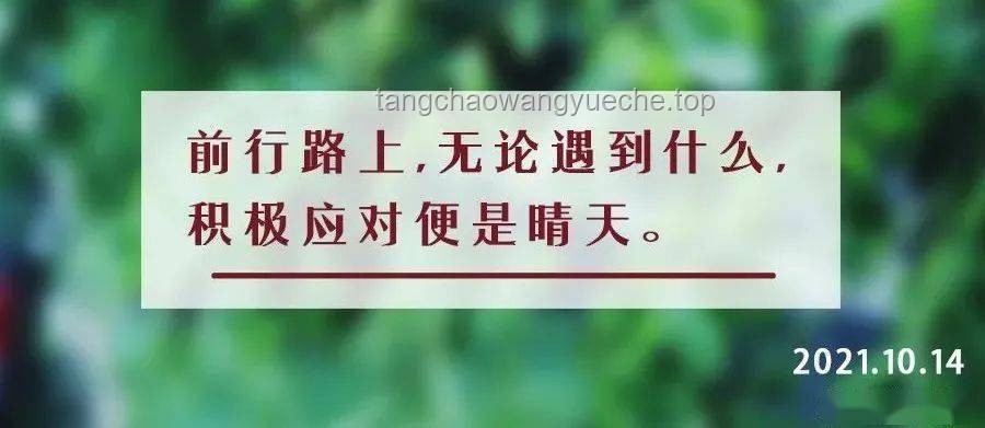 “曾经我也想过一了百了”与积极生活态度的对比分析：心理状态、人生选择与社会影响